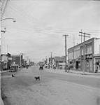 Vue générale de la rue commerciale 1949