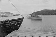 Newfoundland Health Department's hospital ship LADY ANDERSON entering harbour July 1954