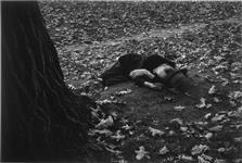 Man sleeping on grass in Queen's Park 1962