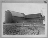 Beef cattle barn, Central Experimental Farm 22 Sept. 1937