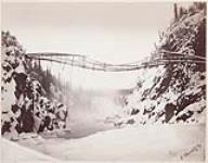Indian suspension bridge over the Wotsonqua River 28 December 1872.