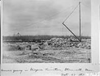 Gunn's quarry in Niagara Limestone 17 Ot. 1897