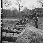 L/Cpl. B. Dudka guarding German prisoners digging graves 28 Feb. 1945