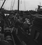 German Prisoners of War unloading bags of dried potatoes 2 June 1945