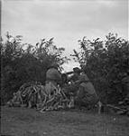 The Cameron Highlanders of Ottawa (C.H. of O.) Machine Gunners in action firing through edge 04-Jul-44