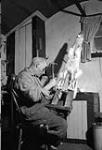 George Lush stretches a fox skin 1949-1950.
