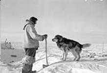 George Lush feeding his dogs 1949-1950.