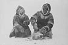 [Muckpah (left) and Uluksie (right) eating frozen caribou meat for lunch.] 1949-1950