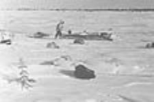 Inuk with a komatik and sled dogs in the foreground 1947-1948.