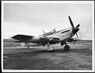 Fairey Firefly A.S.Mk. V aircraft 1949