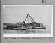 Scow at Davieaux fish dock 1917