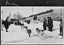 Ottawa Dog Derby (on Rideau Canal with Union Station and Chateau Laurier in background) 1931