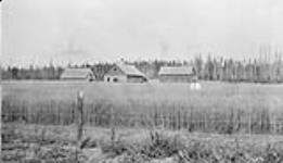 Farm of Mr. A. Larson, Swedish settler c.a.1927