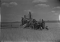 Wheat [Combine harvester, farmhouse, Manitoba] [graphic material] 1933
