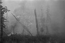 Forest fire [Manitoba] [graphic material] 1933
