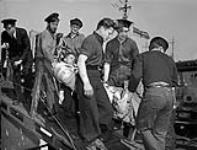Survivors of the minesweeper H.M.C.S. ESQUIMALT, which was torpedoed by the German submarine U-190 on 16 April 1945, disembarking from the rescue minesweeper H.M.C.S. SARNIA, Halifax, Nova Scotia, Canada, 16 April 1945 Apri1 16, 1945.