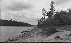 View down Musquosh River from Roselawn Lodge, Muskoka Lakes ca. 1907