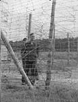 Canadians in Germany. Nazi officials to be demobilized are interned at the Esterwegen internment camp. Here, Nazi prisoners are seen behind barbed wires 8 June 1945