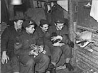 Officers of the 5th Field Regiment with "Judy" Alsatian police dog left by the Germans - L. to R.: Sgt Charlie Kerr, L/Bdr Phil St.Germain, Sgt Ole Shaw and Jack Foy 1 - 2 Feb. 1945