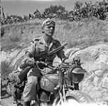 Despatch rider Private H. McDowell of The 48th Highlanders of Canada delivering a message to the battalion's advanced headquarters, Regalbuto, Italy, 4 August 1943 August 4, 1943.