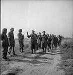 Membres de la Luftwaffe faits prisonniers par la 8e Brigade d'infanterie canadienne durant une attaque contre une usine à Ranville 18 jui1. 1944