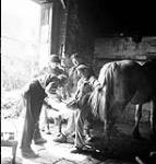 Personnel of the 7th Canadian Infantry Brigade watching a blacksmith shoeing a horse, Creully, France, 14 June 1944 June 14, 1944.