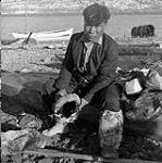 Inuit man showing "mukluk" or boot lined with bird skins 1949