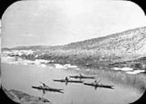 Inuit paddling kayaks in inlet or river mouth ca. 1880's
