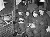 Gunners of the 5th Field Regiment, Royal Canadian Artillery (R.C.A.), in their dugout with Judy (left), an Alsatian dog adopted by the regiment in France and now the mother of six pups, Malden, Netherlands, 1 February 1945 February 1, 1945