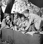 Unidentified officers of the Royal 22e Régiment reviewing plans during the advance on Busso, Italy, October 1943 October, 1943.