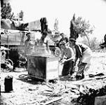 Troopers of the Ontario Regiment roasting a pig, Piucarelli, Italy, 28 June 1944 June 28, 1944.