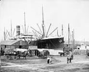 S.S. LAKE MANITOBA loading in Montreal harbour 1890 - 1914