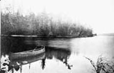 Mooseprint Trout Lake 1878 - 1883
