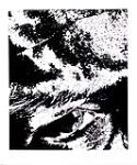 Rayner noir et blanc #5 [graphic material] 2004.
