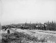 Construction of C.P.R. (Canadian Pacific Railway) main line; laying track c 1881-1885