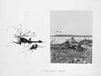 North end of Sugar Island [Rice Lake, Ont.] 1904 1904