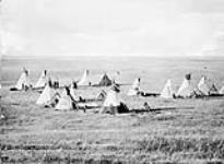 Cree Camp on the prairie, south of Vermilion September, 1871.