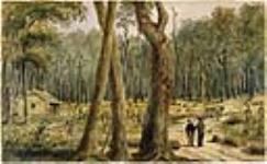 Ferme de brousse, près de Chatham, v. 1838 ca. 1838