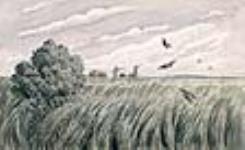 Chasse au tétras près des Rocheuses 1862