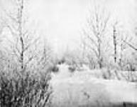 Winter scene 1873.