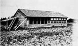 Harry Leventon's new poultry house, Edenbridge Colony, Saskatchewan 1930