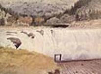 Grand Falls of the Saint John River juin 29, 1840