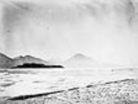 Lat. 79ï 39' N. View of Dobbin Bay, looking N.W. Prince Imperial Island, [N.W.T.] on the left. 1875 1875