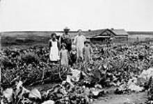 Mr. and Mrs. Samuel Mammel with their children in the family's vegetable garden, Hanna, Alberta 1928