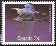 Great Blue Heron = Grand Héron [philatelic record] 1986.