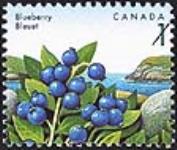 Blueberry = Bleuet [philatelic record]