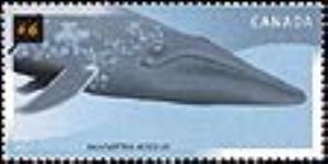 Balaenoptera musculus: [Big Blue] [philatelic record] 2000