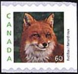 Red fox = Renard roux [philatelic record]