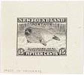 Northern seal, "baby white coat" [philatelic record] 1 January, 1932