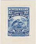 1497-1897, ptarmigan, Newfoundland sport [philatelic record] 24 June, 1897